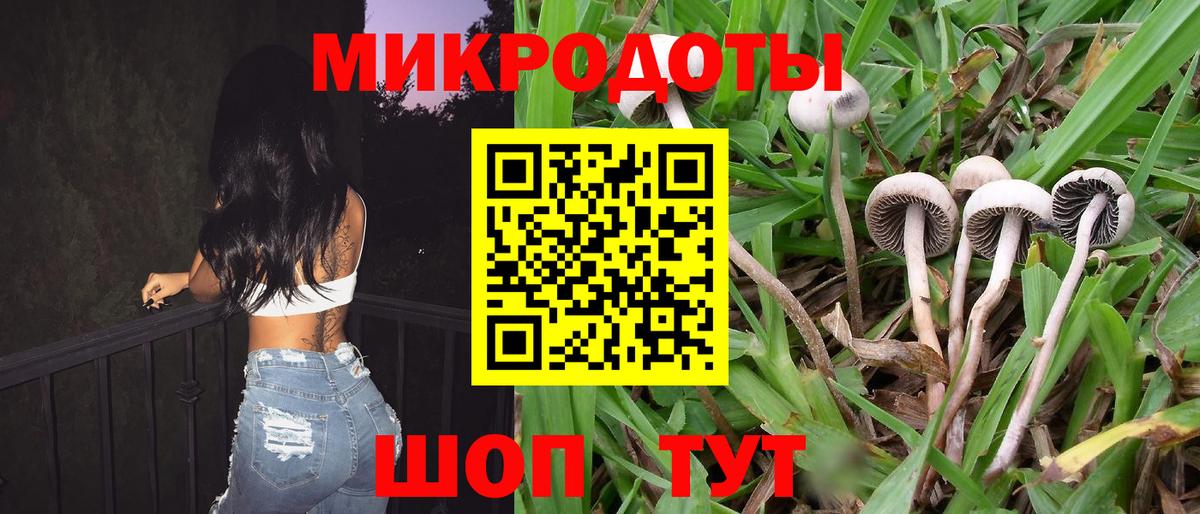 Галлюциногенные грибы Magic Shrooms  Вход с VPN  Борзя 